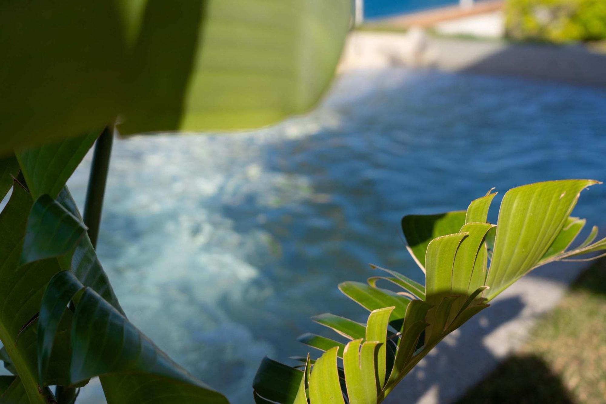 Villa Zagara Garden Spectacular Sea View In Taormina Exteriér fotografie